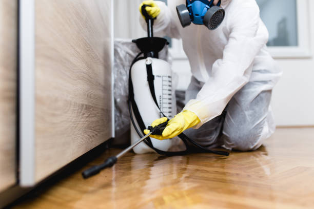 Best Commercial Pest Control Services  in St Marys, KS