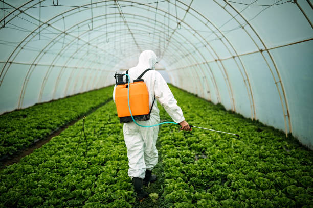 Reliable St Marys, KS Pest Control Solutions