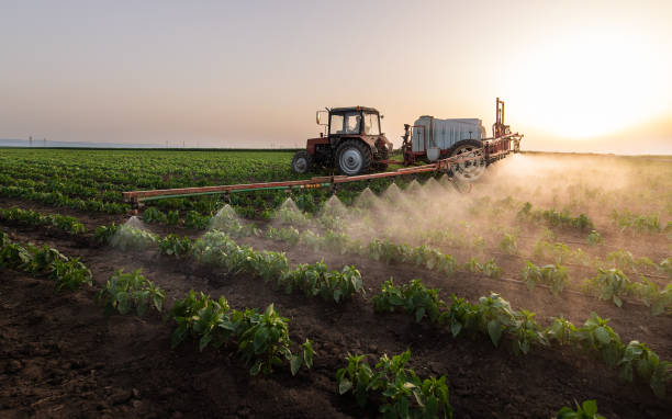 Best Pest Removal Services  in St Marys, KS