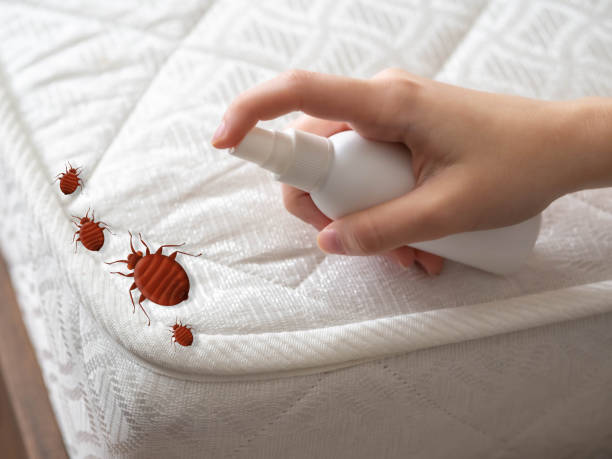 Best Best Pest Control Companies  in St Marys, KS