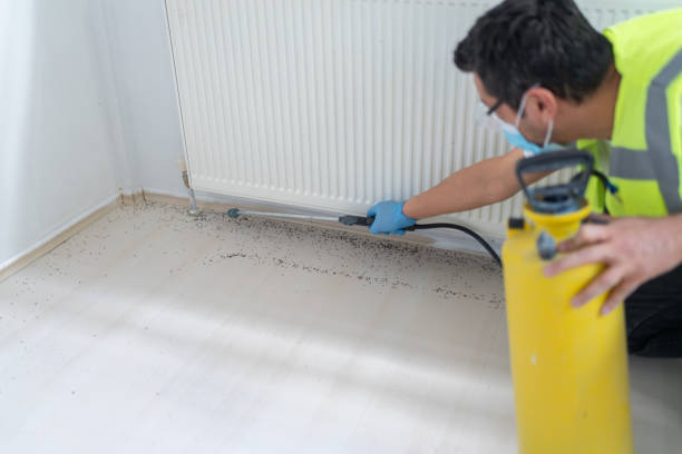 Best Pest Inspection Near Me  in St Marys, KS