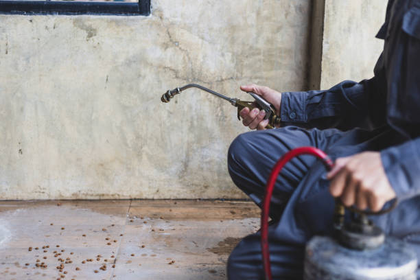Best Pest Control Cost  in St Marys, KS
