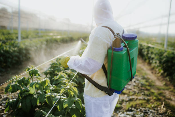 Best Emergency Pest Control  in St Marys, KS